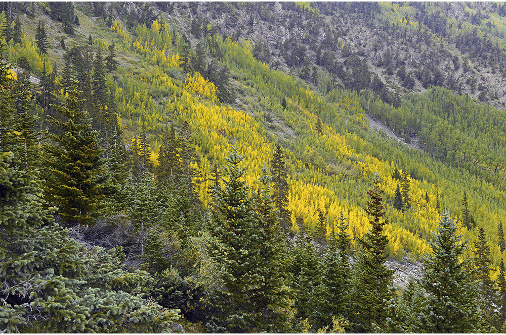 ABTyes-Services-Offering-Copier-and-Printer-Sustainability